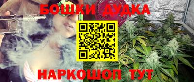 PSILOCYBIN Обнинск