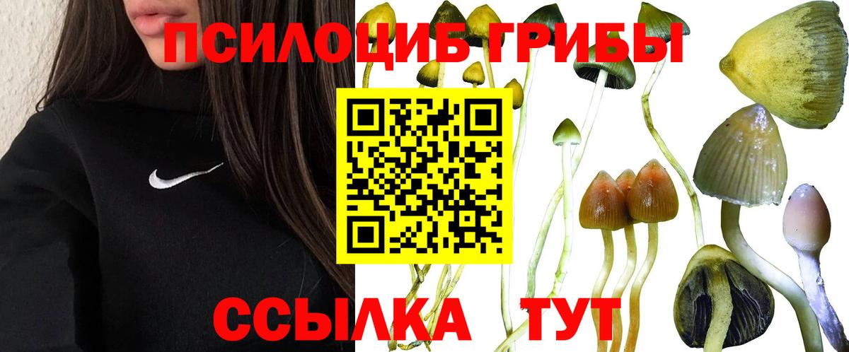 Галлюциногенные грибы Magic Shrooms Новозыбков
